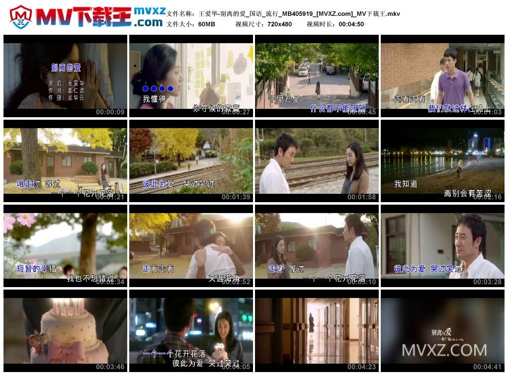 王爱华-别离的爱_国语_流行_MB405919